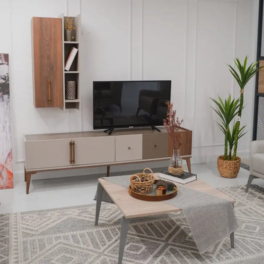 Pastelo TV מזנון טלוויזיה